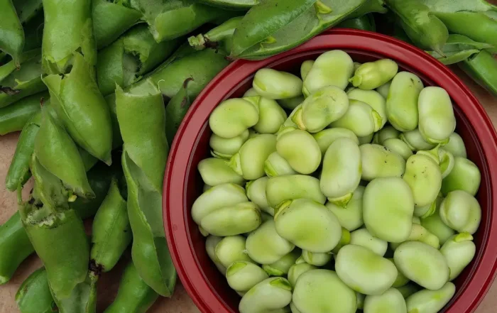 Healthy Recipes Iron Source