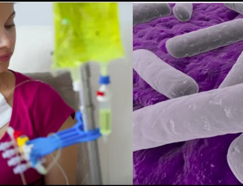 Probiotics and cancer treatments