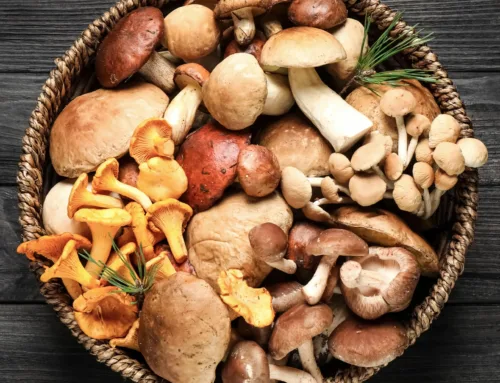 Medicinal mushrooms